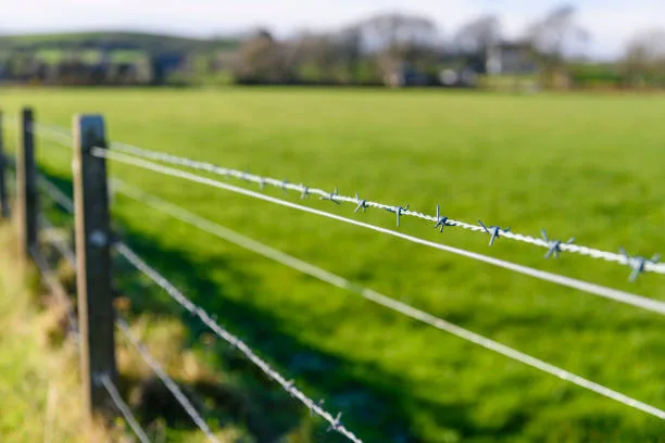 Fencing Materials in Kenya